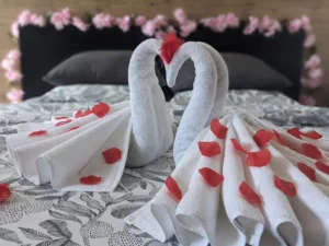 Pack romantique avec pétales de rose et serviettes en forme de cygnes