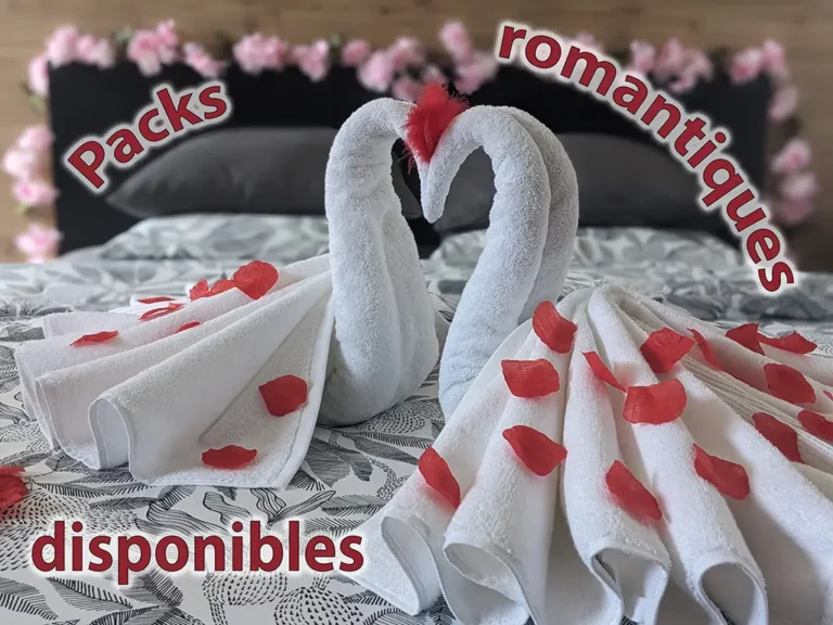Pack romantique avec pétales de rose et serviettes en forme de cygnes